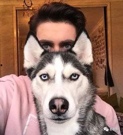 二哈吃瓜娱乐圈百度云,娱乐圈风云录 第3张 二哈吃瓜娱乐圈百度云,娱乐圈风云录 第3张