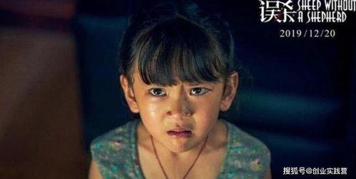 老林直播爆料是真的吗视频,揭秘真相，视频内容真实性分析